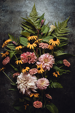 花朵绿叶蕨类摄影