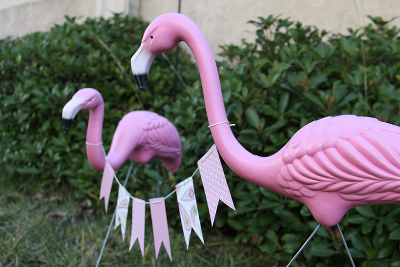 粉红色火烈鸟装饰摄影