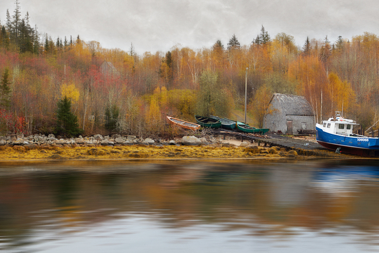 河流船停靠树木秋天