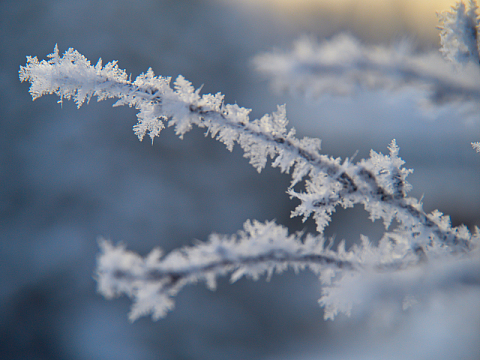 冬天冬季积雪雪花
