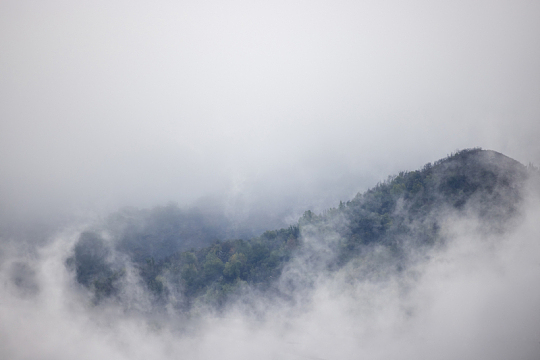 雾山自然薄雾高山