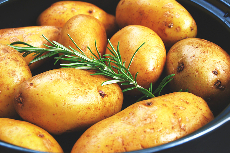 土豆迷迭香食物摄影