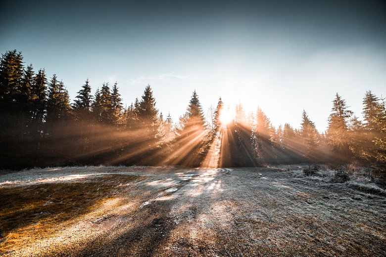 冬季森林冰冻早晨光线