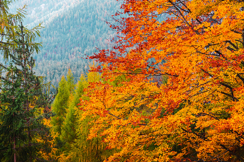 秋季自然色彩景观