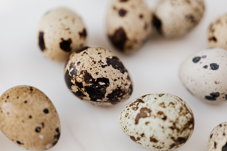 大理石鹌鹑蛋复活节摄影
