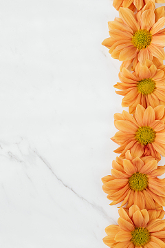 金菊花花朵鲜花大理石摄影