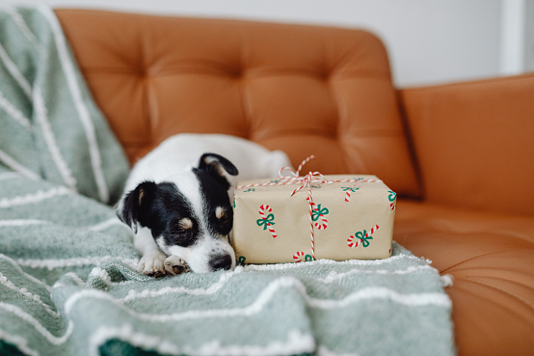 圣诞节礼物小狗沙发