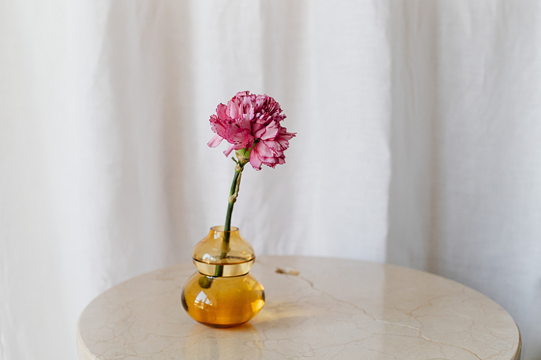 粉红色花朵花瓶摄影