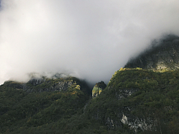 山地树木植物自然景观森林薄雾