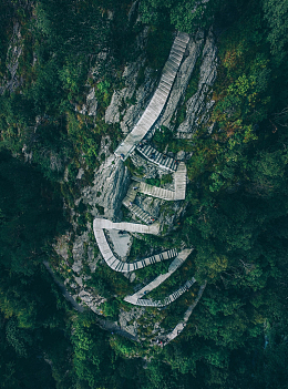台阶楼梯岩石绿树