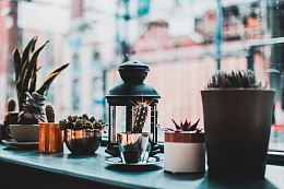 植物窗台房子花园盆栽