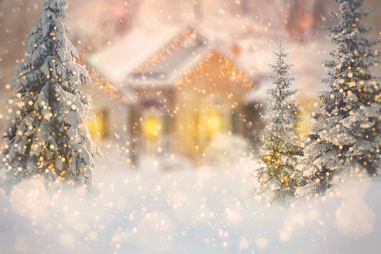 冬季雪花庆祝季节圣诞树