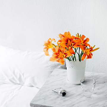 房间橙色花朵鲜花