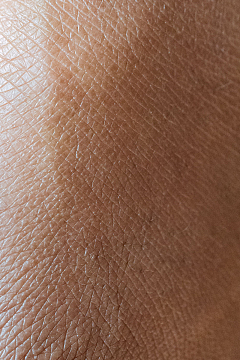皮肤背景纹理细节
