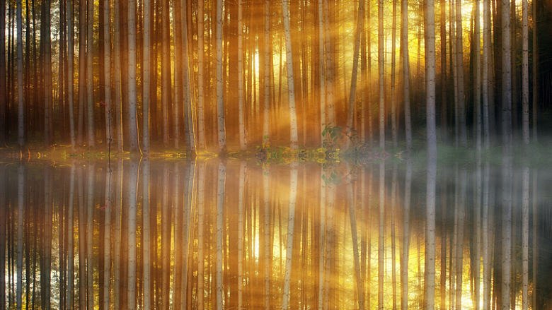 秋季户外湖泊森林反射