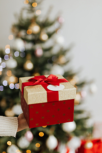 圣诞礼物礼盒圣诞树摄影