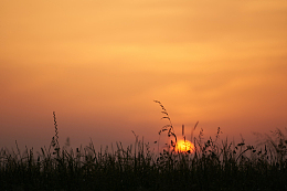 田野日落夕阳景观自然