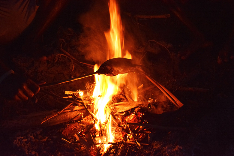 篝火火焰火堆烤鱼露营