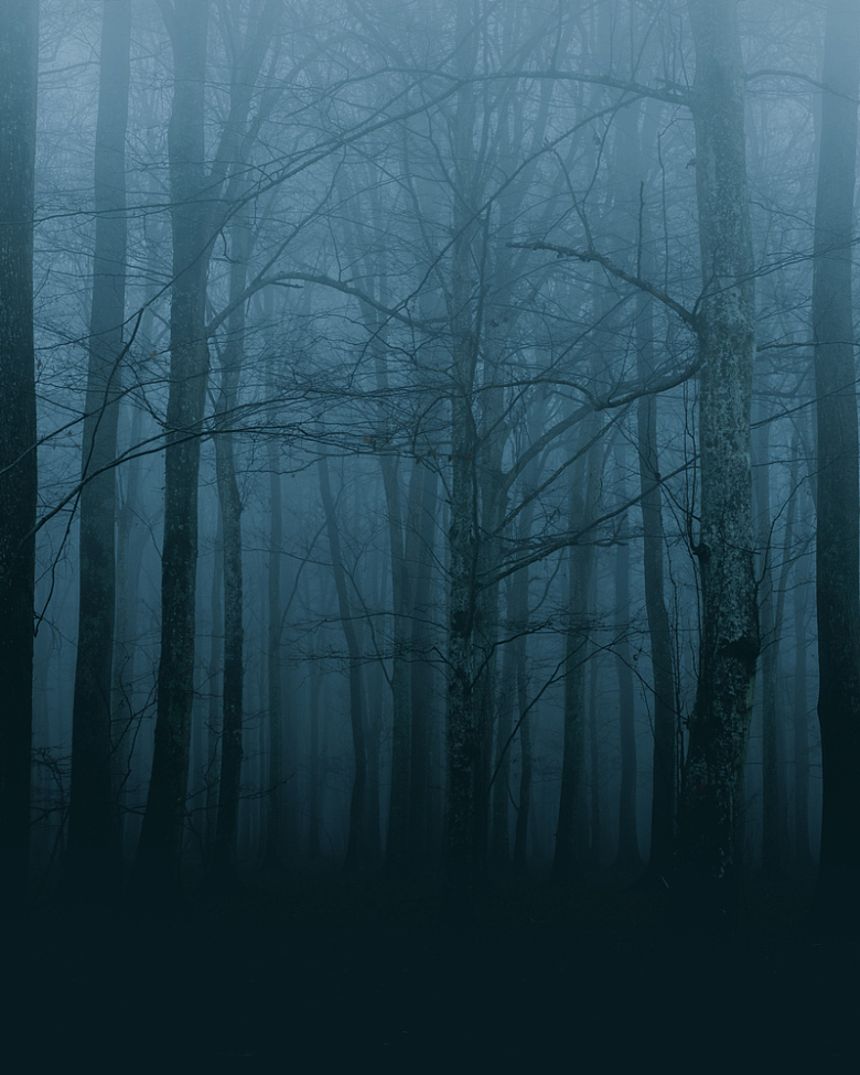 冬天黑暗森林浓雾