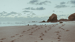 海洋海浪自然足迹海滩