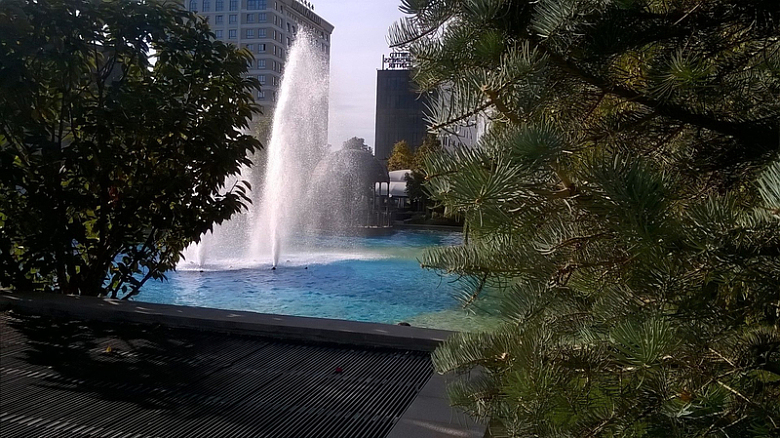 水池喷泉树木摄影