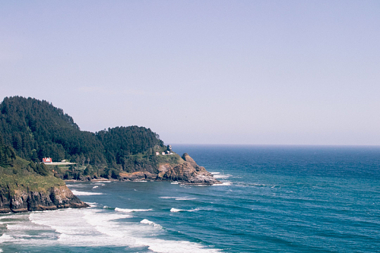 自然海水海洋海滩悬崖树木