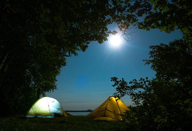 树木植物轮廓户外自然月夜帐篷