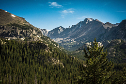 自然景观山谷树木茂盛植被