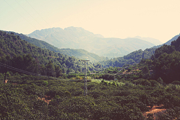 山谷树木森林电线天空