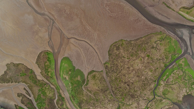 自然景观水陆绿地