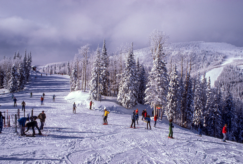 高山雪山冬季树木滑雪