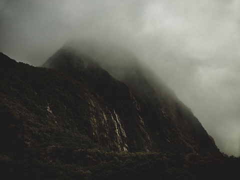 山地高山薄雾景观自然树木