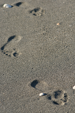 足迹沙滩赤脚旅游休闲