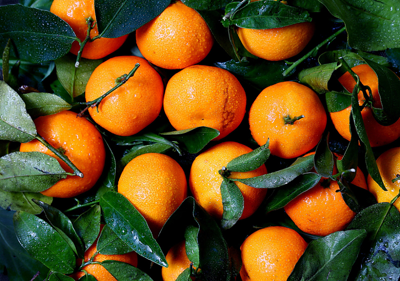橙子柑橘水果维生素多汁绿色食品