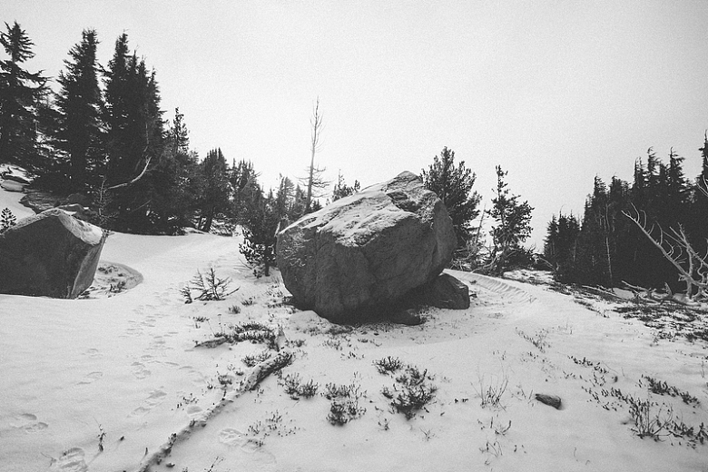 自然雪地石头树木冬季