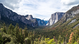 树木植物自然森林景观山地高地
