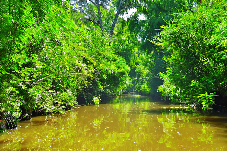 河流河面树木摄影