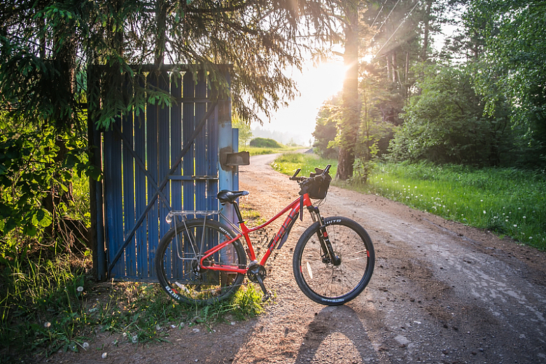 自行车支撑道路阳光明媚森林风景优美