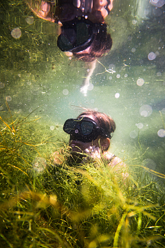 热带水域潜水海草