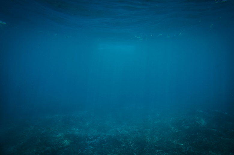 海底海洋水下摄影