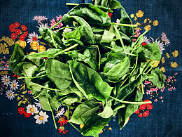 厨房毛巾菠菜