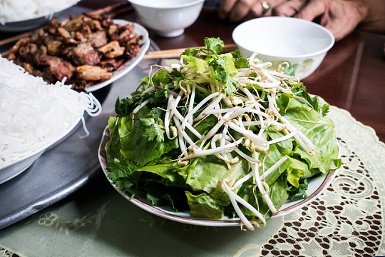 餐桌新鲜香菜豆芽食材