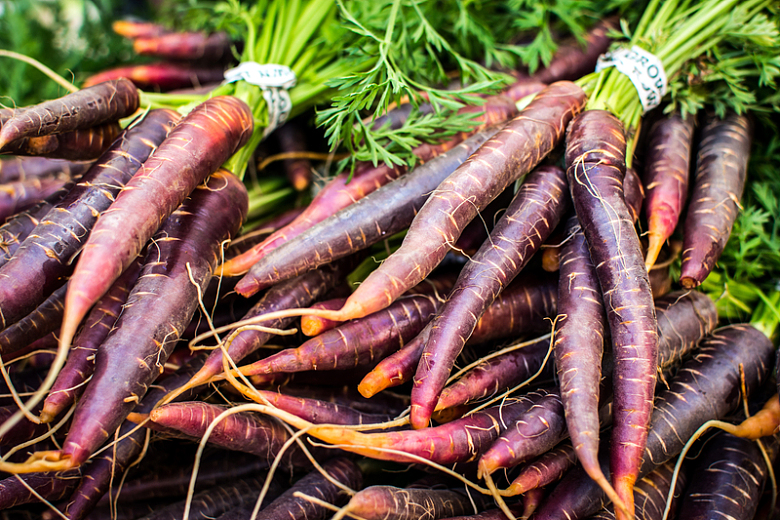 农贸市场有机紫色胡萝卜