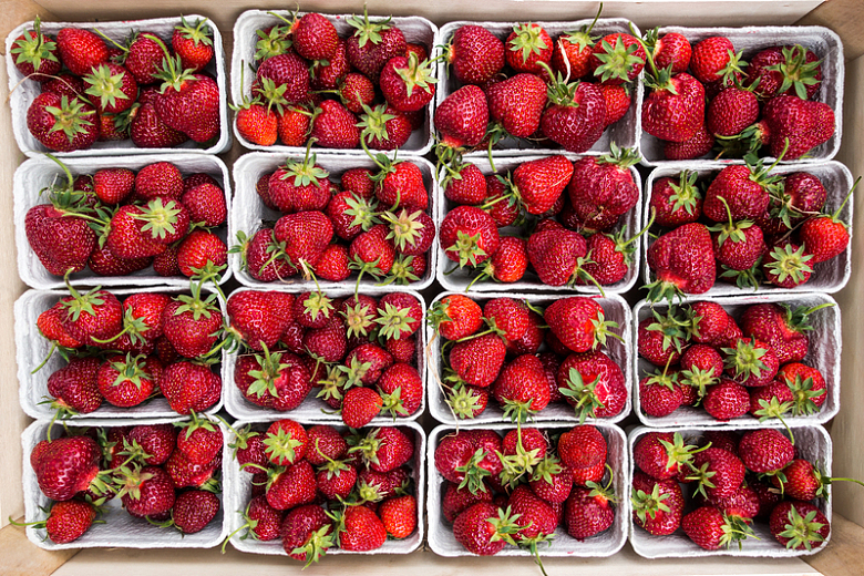 农贸市场新鲜草莓特写水果