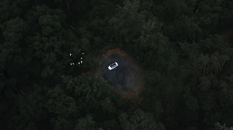 一辆汽车停在森林中央