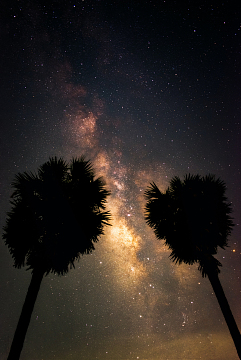 夜晚,晚上,天文,野外,闪耀,树林,土地,星云,阴天,星空,