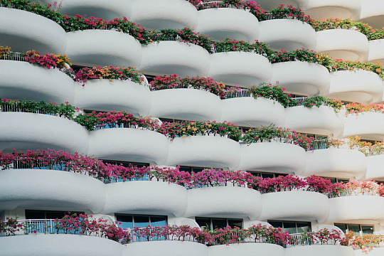 阳台植物建筑摄影