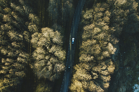 树木间道路上两辆车的鸟瞰图