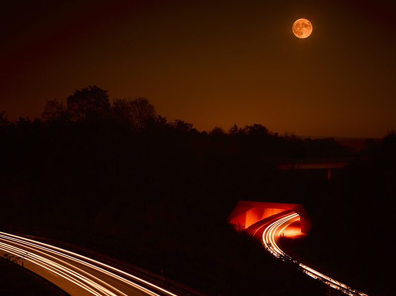 夜间高速公路的长曝光照片