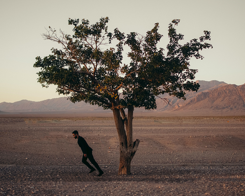 一个人走过沙漠中的一棵树